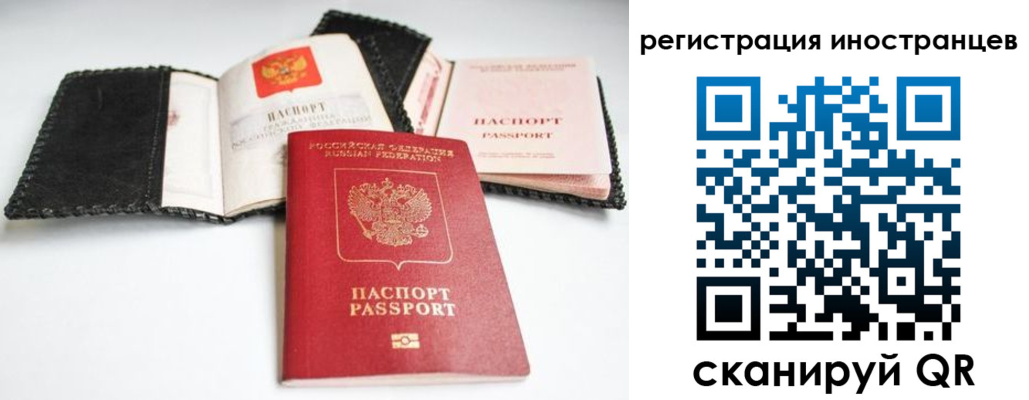 прописка гарантия в Николаевске